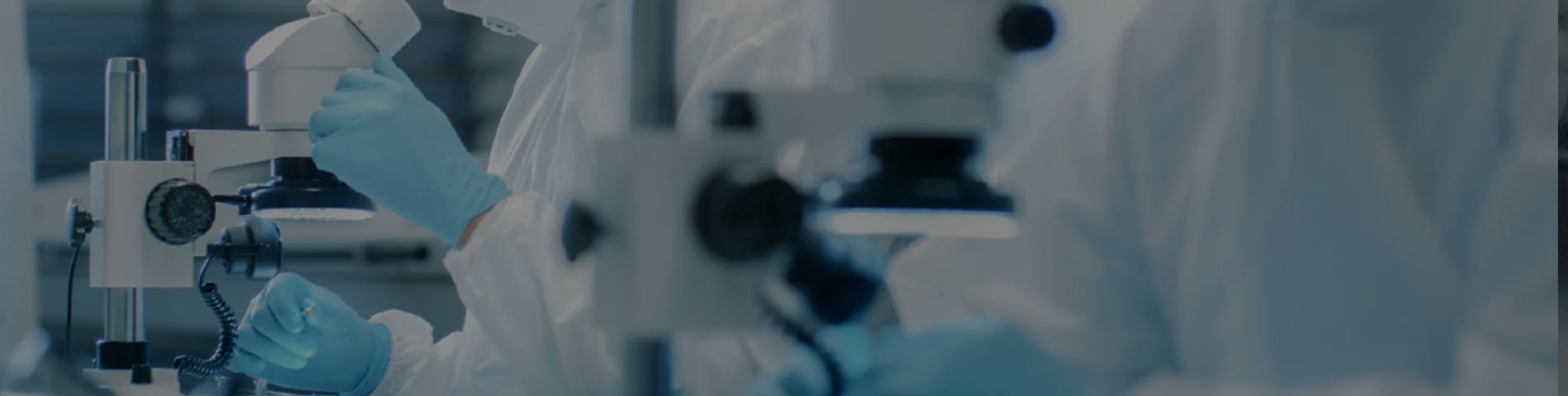 R&D & Services